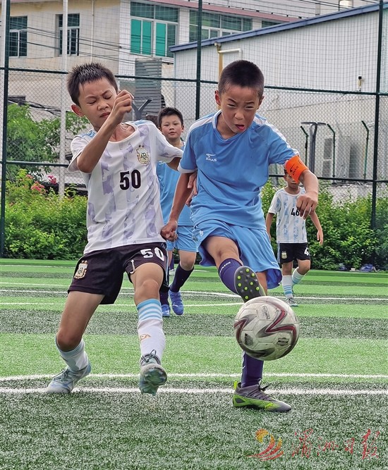 员们提供了, img, table 员们提供了, img, table