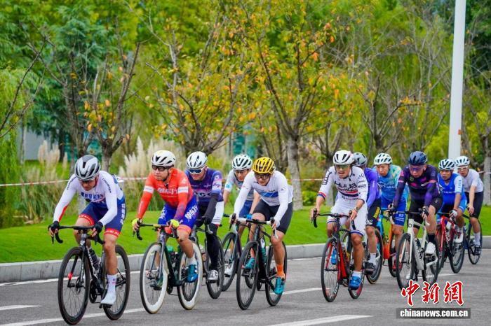 采用了专业 采用了专业